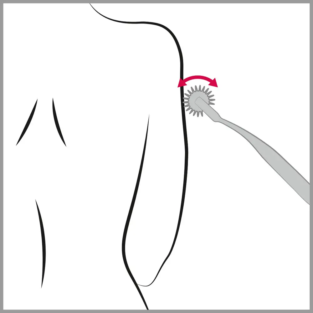 05294940000-lulu-love-BDSM-bondage-fetish-collection-pin-wheel-e